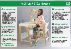 Комплект растущий стол и стул с чехлом 38 попугаев «Вуди» (Белый, Белый, Клетка) в Набережных Челнах - naberezhnye-chelny.mebel-74.com | фото