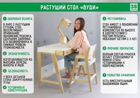 Комплект растущий стол и стул с чехлом 38 попугаев «Вуди» (Серый, Береза, Салют) в Набережных Челнах - naberezhnye-chelny.mebel-74.com | фото