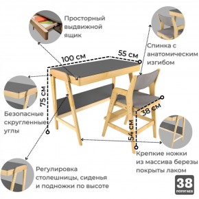 Комплект растущий стол и стул с чехлом 38 попугаев «Вуди» (Серый, Береза, Серый) в Набережных Челнах - naberezhnye-chelny.mebel-74.com | фото