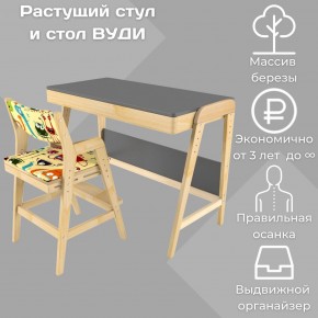 Комплект растущий стол и стул с чехлом 38 попугаев «Вуди» (Серый, Без покрытия, Монстры) в Набережных Челнах - naberezhnye-chelny.mebel-74.com | фото