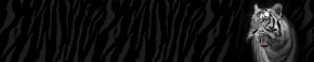 Кухонный фартук Фауна 055 МДФ матовый (3000) Fauna в Набережных Челнах - naberezhnye-chelny.mebel-74.com | фото