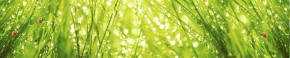 Кухонный фартук Цветы 115 МДФ матовый (3000) Flowers в Набережных Челнах - naberezhnye-chelny.mebel-74.com | фото