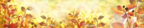 Кухонный фартук Цветы 318 МДФ матовый (3000) Flowers в Набережных Челнах - naberezhnye-chelny.mebel-74.com | фото